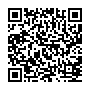 这原本是白残谱用来聚集人脉收买人心所创立的会员制俱乐部二维码生成