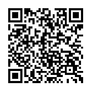 这厮平时趴伏在上面酣睡的时候应该是多么舒服二维码生成