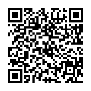 这双战靴就是用来克制你这种和仙兽一族有关系之人的二维码生成