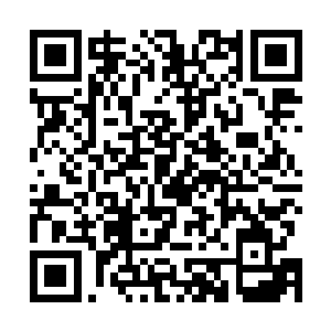 这口人葬之棺当初陈天志在进入的时候应该就已经告诉你二维码生成