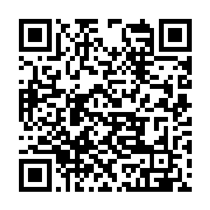 这口保险箱里的宝贝足够他们下半辈子逍遥自在了二维码生成