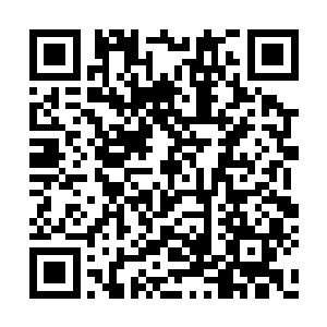这古怪的地方一来就将自己的帝元彻底镇压封印二维码生成