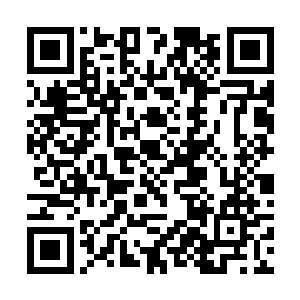 这古界中的妖兽再强的也不过堪比天王境大圆满罢了二维码生成