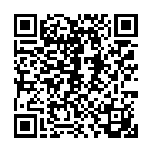 这句话只有在一个人的身上才会失效――他是我的杀父仇人二维码生成