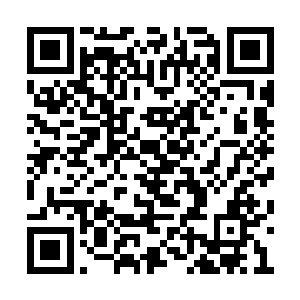 这句话可以用来形容高扬和契拉耶夫现在的脸色二维码生成