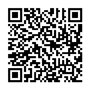 这只夜叉就是被刚才唐劫战斗时泄漏出的那点生机吸引来的二维码生成