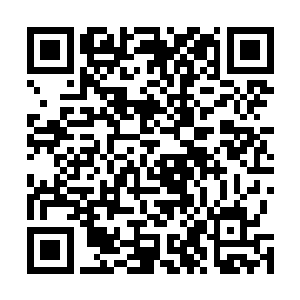 这只大乌龟就在洪大力名下的天景山外围的一个溶洞里面二维码生成