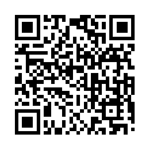 这只小鸟从我有记忆以来就是独自在这天罗中二维码生成