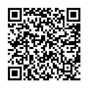 这只巨大的黑色怪兽难道不仅仅只是拥有巨大的力量二维码生成