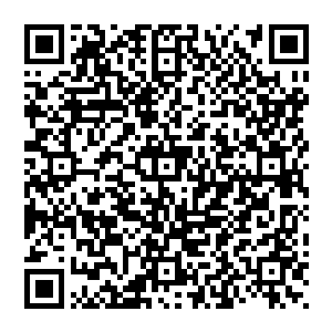 这只怕是洗月派进一步大发展的征兆――不是只有洗月派从当初的紫府华典想到未来的升仙圣典的可能的二维码生成