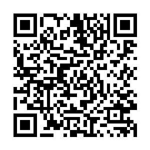 这只手指内蕴含着的力量足够碾碎几十个上等宇宙了二维码生成