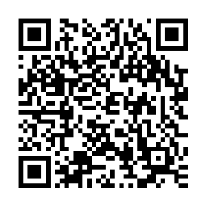 这只斗蟹立刻开始像一个皇帝巡视自己的领地一般爬行了一圈二维码生成