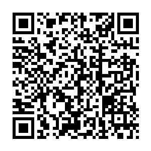 这只是一个丫鬟啊……这真的只是一个给苏落端茶倒水的丫鬟啊……二维码生成