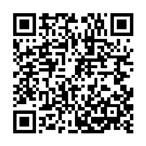 这只是地下战堡中一点微不足道的小小防御措施而已二维码生成