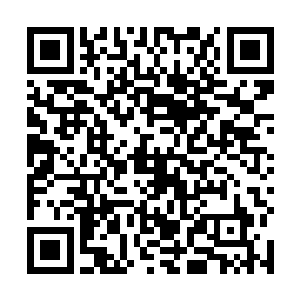这只浑身散发着可怕寒气的白色猛虎也冲入了虫群之中二维码生成