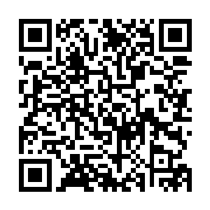 这只玉乌龟里却有一门对阴阳宗来说至关重要的秘法真传二维码生成