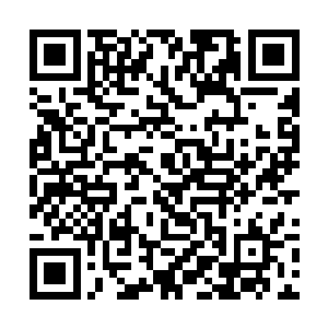 这只能迫使我马不停蹄地赶着去见下一个未婚夫罢了二维码生成