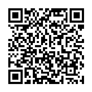 这只说明一个周期性的灾难马上就要来了――大饥荒二维码生成