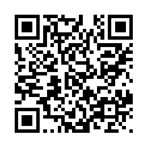 这只黑亮的蚂蚁身上还张开透明的双翅二维码生成