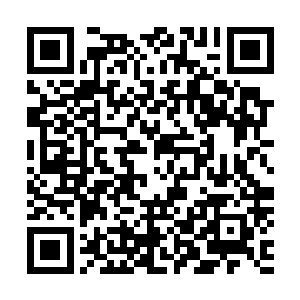 这只黑色的小甲虫已经成了黑铁之堡内全效药剂的忠实粉丝二维码生成