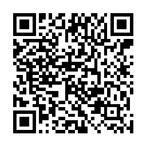 这只黑蛟的在水面之上的脖子部分便足足有三百多米长短二维码生成