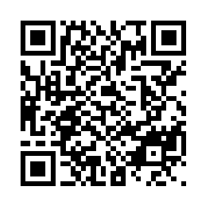 这只龟的龟背上有着不同颜色的点数图案二维码生成