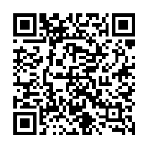 这可不代表他愿意被坑爹的王长老使唤过来使唤过去呀二维码生成