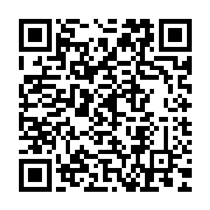 这可事关他能否赢得一大笔足以令元婴大修士都无比动心的赌注二维码生成