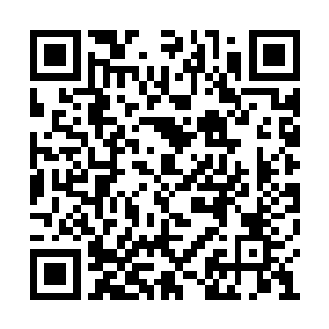 这可惜他也不了解学城这座神秘的珍珠塔的来历二维码生成