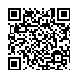 这可是一个天不怕地不怕的黑帮女老大啊二维码生成