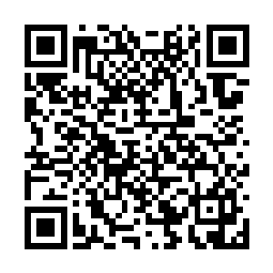 这可是一向谦逊低调的雨果有史以来真正火力全开二维码生成