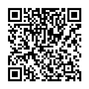 这可是一年级的新生啊……绝大多数二年级的学生都做不到二维码生成