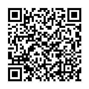 这可是为了抢夺桃子市场而研制出来的新品种啊二维码生成