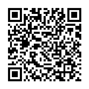 这可是他的祭司大人好不容易才给他生的两个小混蛋二维码生成