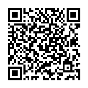 这可是关系到我们前来这宗家担任供奉的那件大事二维码生成