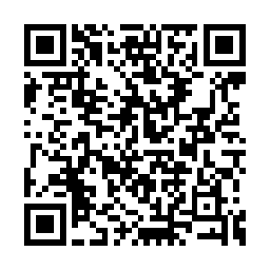 这可是决定他在修仙大道上走的更远的关键所在二维码生成