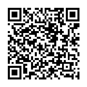 这可是四大宗派和猎海联盟的高层一致决策决定的事情二维码生成