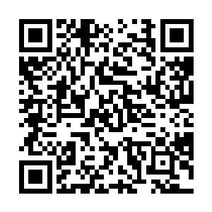 这可是安太借了人家的厨房亲自为你的熬的皮蛋瘦肉粥二维码生成