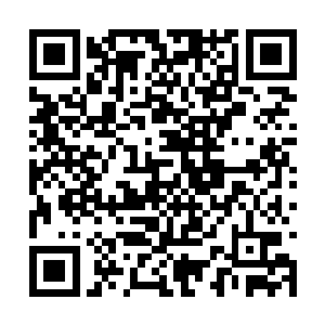 这可是小爷我好不容易从我爷爷手中讨要过来耍的二维码生成