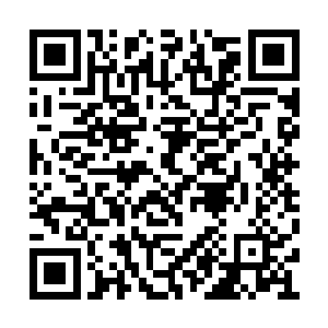 这可是当年那位强大的巫妖亲自下令打造的盔甲二维码生成