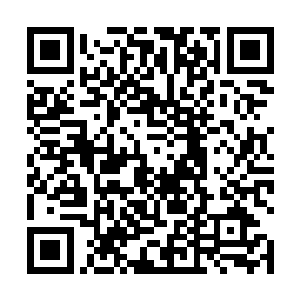 这可是我花费了一百三十万美元在拍卖会上拍来的真品二维码生成