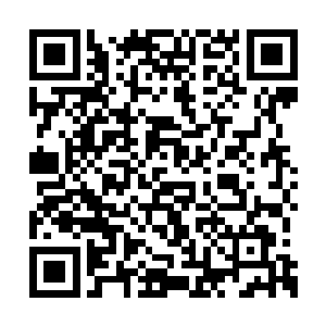 这可是能够调动整个灵墟城一万护城卫的灵墟令二维码生成