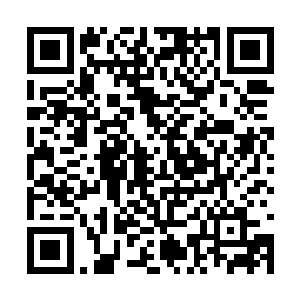 这可是能直接御使天地间的雷电灵气为己用的能力二维码生成