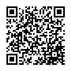 这可是连古神顶峰甚至半步主神高手都要抢夺的超级宝物二维码生成