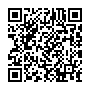 这可比当初乔梅当人家儿媳妇的时候像样子多了二维码生成