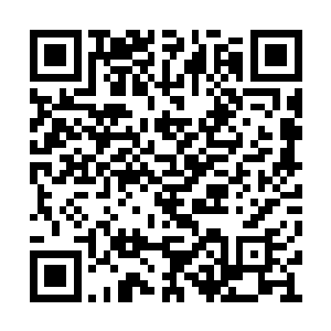 这可能也是科莫音巨蛇术士情绪化血脉病的由来二维码生成