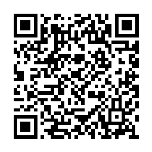 这可能就是因为虎禅真尊和洛离的两大变异法门二维码生成