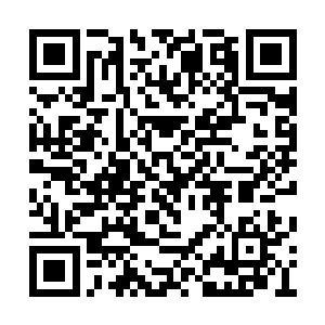 这可能是她第一次目睹切萨雷就重大事务做决策二维码生成