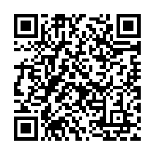 这台机器人的头颅和胸甲部位使用了大量的法比亚二维码生成