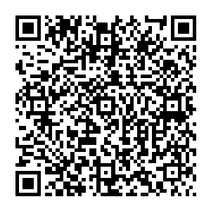 这台滑稽的让人几乎无法以机器人来称呼的垃圾拼装物的脚边滚落着一个比他稍微新一点的菜篮子二维码生成